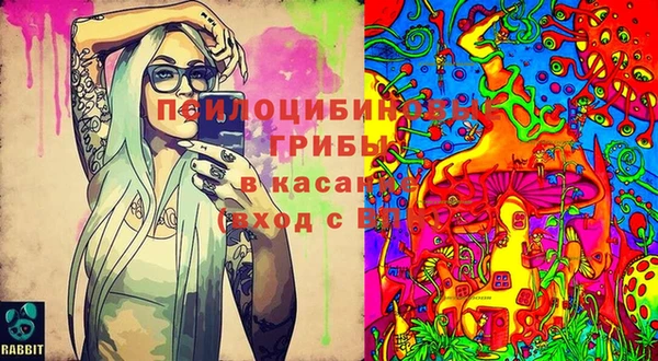 соль ск Липки