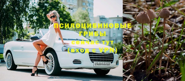 соль ск Липки