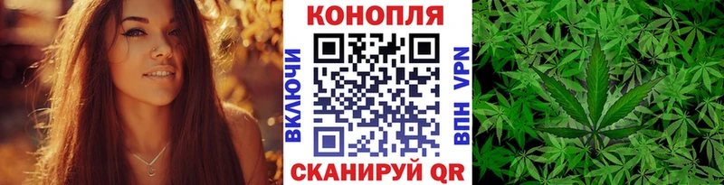 купить наркотик  mega зеркало  Конопля AK-47  Власиха 